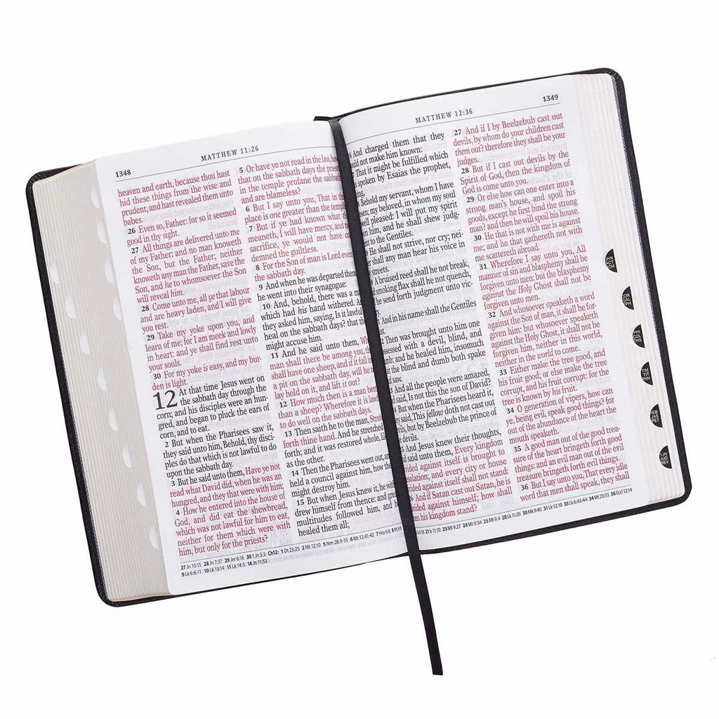 Giant Print Bible King James Version Two-tone
